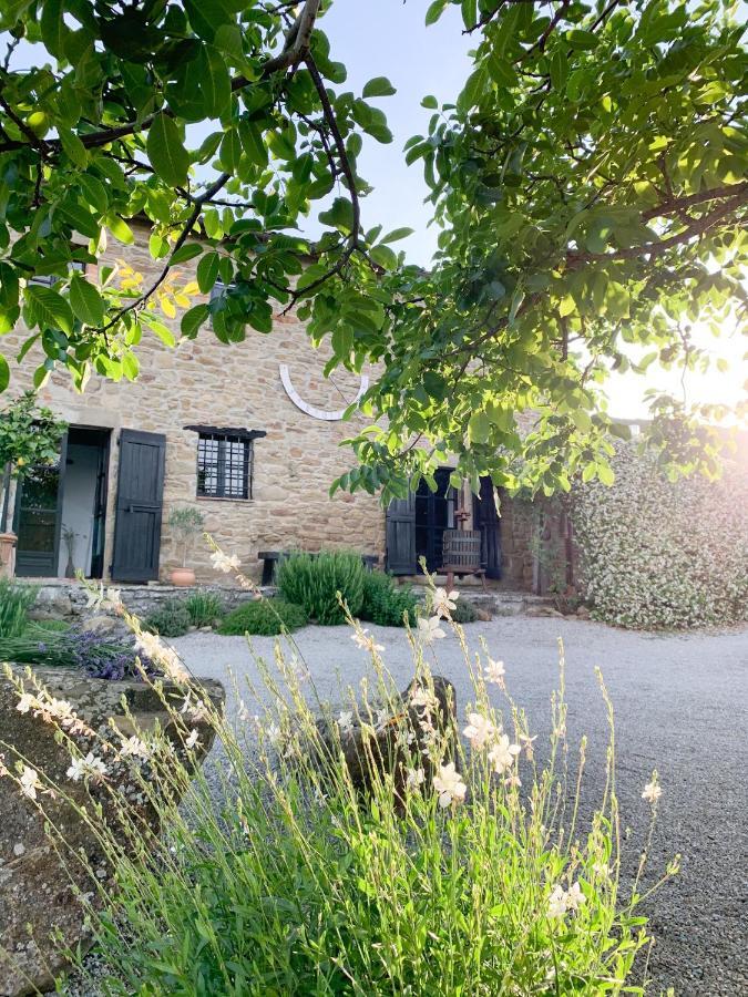 Villa Montanare Cortona Exteriör bild