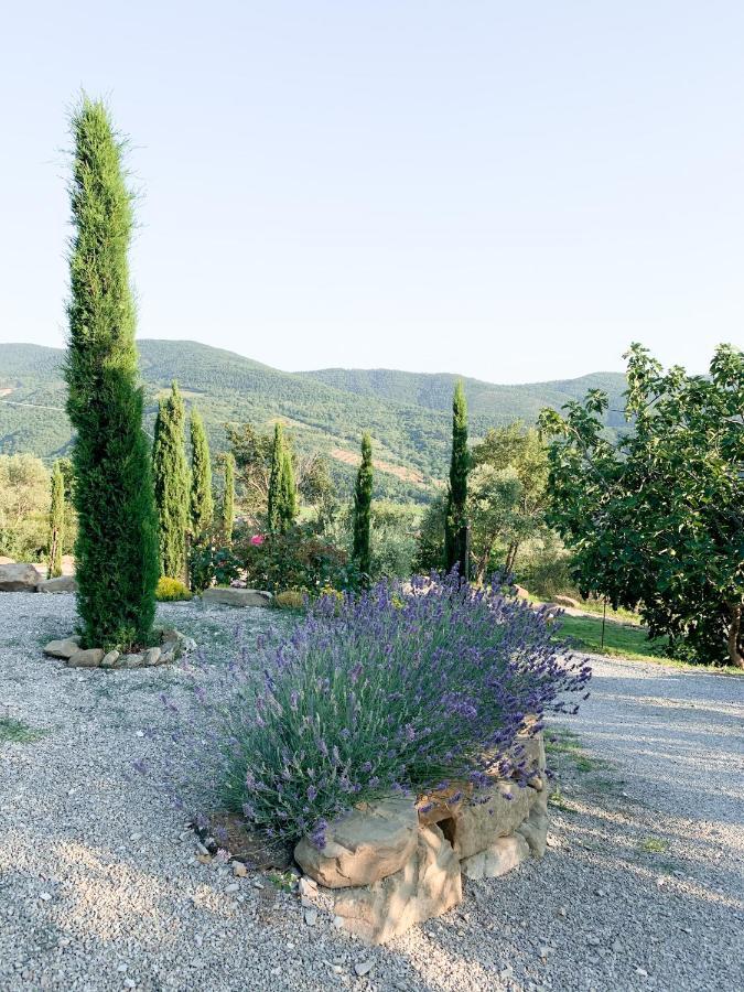 Villa Montanare Cortona Exteriör bild