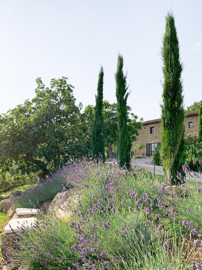 Villa Montanare Cortona Exteriör bild
