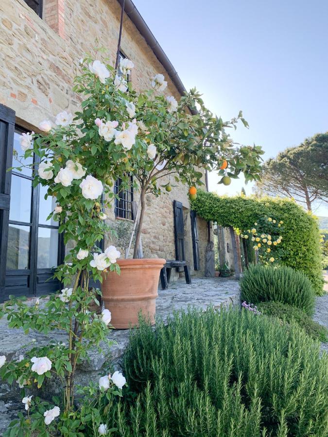 Villa Montanare Cortona Exteriör bild