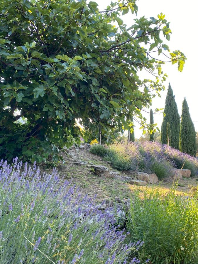Villa Montanare Cortona Exteriör bild