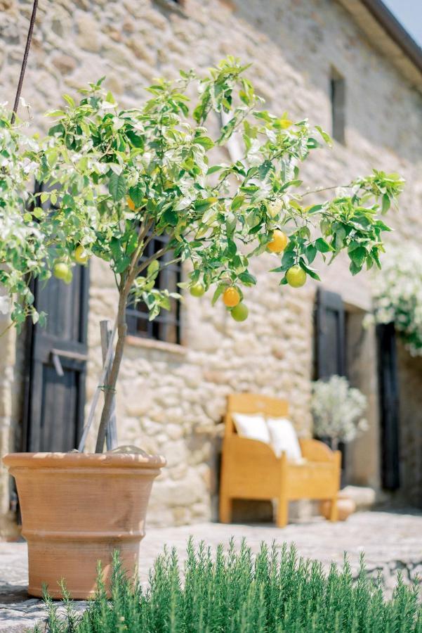 Villa Montanare Cortona Exteriör bild